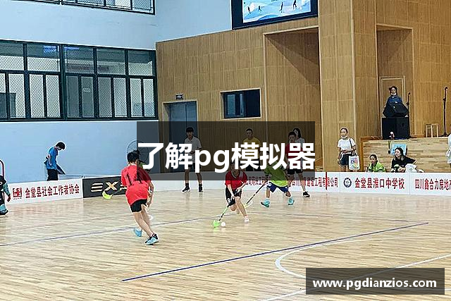 了解pg模拟器